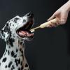 Dog Toothbrushes, Soft Silicone Bristles, Double-Headed, Non-Slip Handle view 4