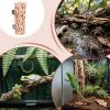 Magnetic Spider Habitat Hideout for Pets view 4
