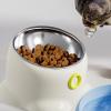 Stable Dog Bowl - Tilted Slow Feeder view 2
