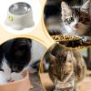 Stable Dog Bowl - Tilted Slow Feeder view 4
