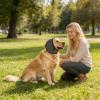 Dog Ear Protection Noise-Reducing Calming Ear Muffs view 2