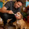 Silicone Dog Toothbrush with Soft Bristles view 2