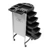 LKHDONG Salon Rolling Cart, 6-Tier Hairdressing Trolley with 5 Drawers and Casters, White view 1