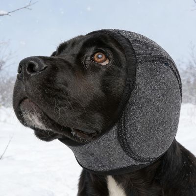 Dog Ear Protectors with Noise Reduction