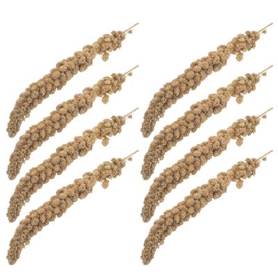 Levemolo Yellow Millet Spray Parrot Snacks