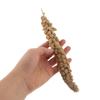 Levemolo Yellow Millet Spray Parrot Snacks view 4