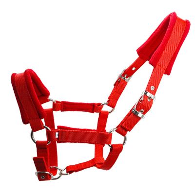 Weatherproof Metal Connector for Horse Training