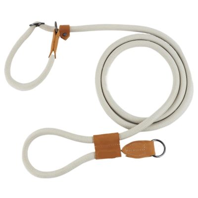 Multifunctional Adjustable Dog Running Leash
