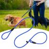 Hands-Free Dog Running Leash, Red, S: 0.6 cm x 130 cm view 2