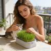 Cat Grass Growing Tray, Reusable Two-Tier Tray With view 4