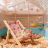 Generic Hamster Bed & Swing view 3