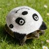 Handmade Panda Sweater for Pet Turtles view 3