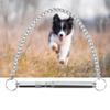 CHICIRIS Ultrasonic Dog Training Whistle view 4