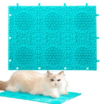 Cat Scratching Mat, Itch-Relieving Play Mat