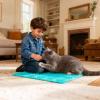 Cat Scratching Mat, Itch-Relieving Play Mat view 3