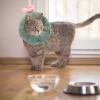 VANZACK Adjustable Soft Cat Recovery Collar for Wound Protection view 4
