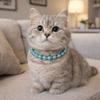 Adjustable Faux Pearl Collar for Pets with Bow, Size M, White view 3