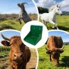 Salt Block Holder for Salt Lick Stones view 4