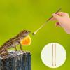 Ciieeo Stainless Steel Feeding Spoon for Reptiles and Small Animals - 2 Pack view 3
