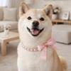 Adjustable Faux Pearl Pet Collar with Bow, White, Size L view 4