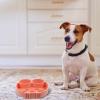 VERDANVERSE Non-Slip Silicone Slow-Feeder Dog Bowl with Suction Base view 4
