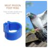 Artibetter Identification Leg Bands, 100 Plastic 10 mm view 3