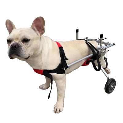 Adjustable Dog Wheelchair for Rear-Leg Support, XXS–XL