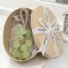 Hypoallergenic Biodegradable Crystal Grape Soap view 2