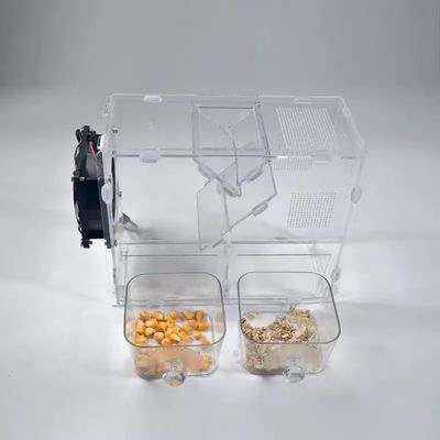 LEWFECBO Bird Food Cleaning Machine, Grain Separator with 2 Containers and Stepless Fan Speed, for Bird Seed, Rice and Peas
