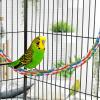 Interactive Colorful Bird Rope Swing Toy view 2