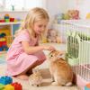Hay Dispenser for Small Animals view 3