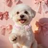 ARING PET Dog Collar with Pink Bow Pattern view 4