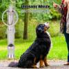 SIXRUN 2-Pack Stainless Steel Ultrasonic Whistle view 4