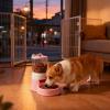 2-Liter Automatic Cat Feeder view 2
