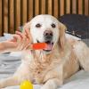 Dog Toothbrush | 360-Degree Bristles for Stain Removal view 2
