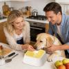 37 oz No-Spill Slow-Flow Dog Water Bowl view 2