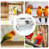 Clear Portable Bird Cage with Wooden Perch view 4