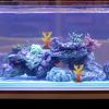Toyvian 3-Piece Aquarium Coral Ornament Set view 3
