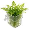 Aquarium Plant Basket view 1