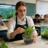 Aquarium Plant Basket view 3