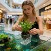 Aquarium Plant Basket view 4