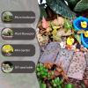 Supvox Miniature Stones for Micro-Landscape Decoration, 50 g Bag view 4