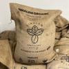 1 kg Strawberry Co-Fermented Specialty Green Coffee from Sumatra view 4