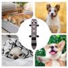 Acunny Snuffle Dog Toy with Sound and Filling | Scent-Search Toy for Small and Medium Breeds view 4