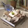 15 cm Bird Chew Toy - Durable Paper and Wood view 2