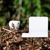 FELTECHELECTR Ant Water Dispenser and Feeder - 2 Pieces view 4