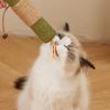Catnip Chew Toy - Interactive Chew Accessory for Cats view 3