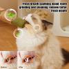 Interactive Catnip Sticks for Natural Teeth Cleaning view 2