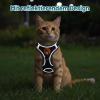 2-Pack Escape-Proof Cat Harness with Leash view 4