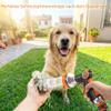 Dog Shower Hose Kit, 3 m Hose with 8 Spray Modes view 4
